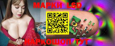 шишки Будённовск