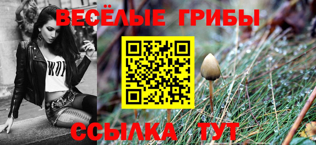 Псилоцибиновые грибы Cubensis Ленинск-Кузнецкий