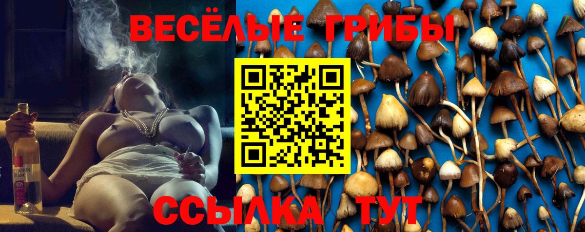 Галлюциногенные грибы MAGIC MUSHROOMS  Псилоцибиновые грибы GOLDEN TEACHER  Вход с VPN  Ленинск-Кузнецкий 